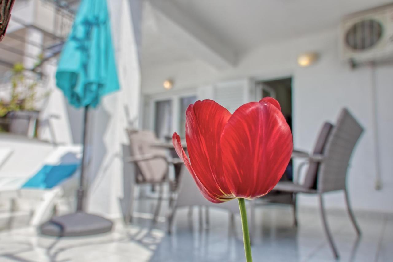 Apartment Birimac *